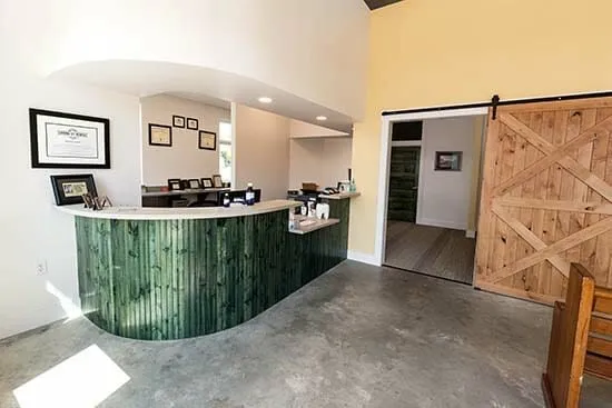 sprin st dental bastrop - Spring St. Dental | Dr Romney & Dr Lasson