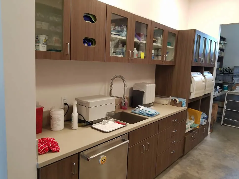 bastrop-dental-office-6 bastrop dental office 6 - Spring St. Dental | Dr Romney & Dr Lasson