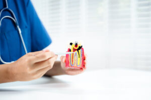 Dental professional explaining tooth decay using a cross-section model. Ideal for oral health education, root canal anatomy, and dental pathology visuals.